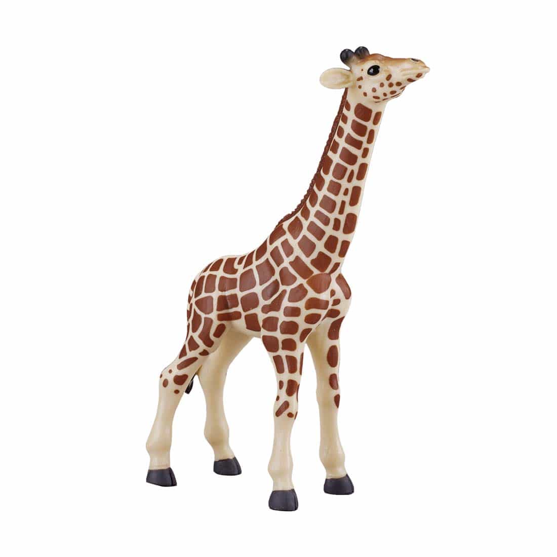fimptoys3-23458