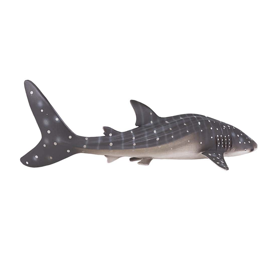 fimptoys3-23514