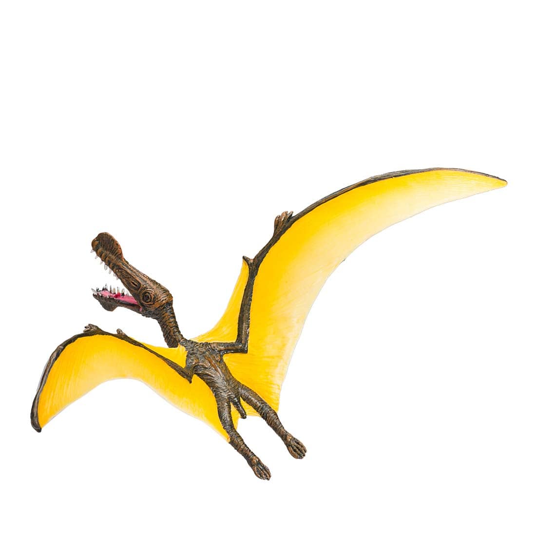fimptoys3-23485