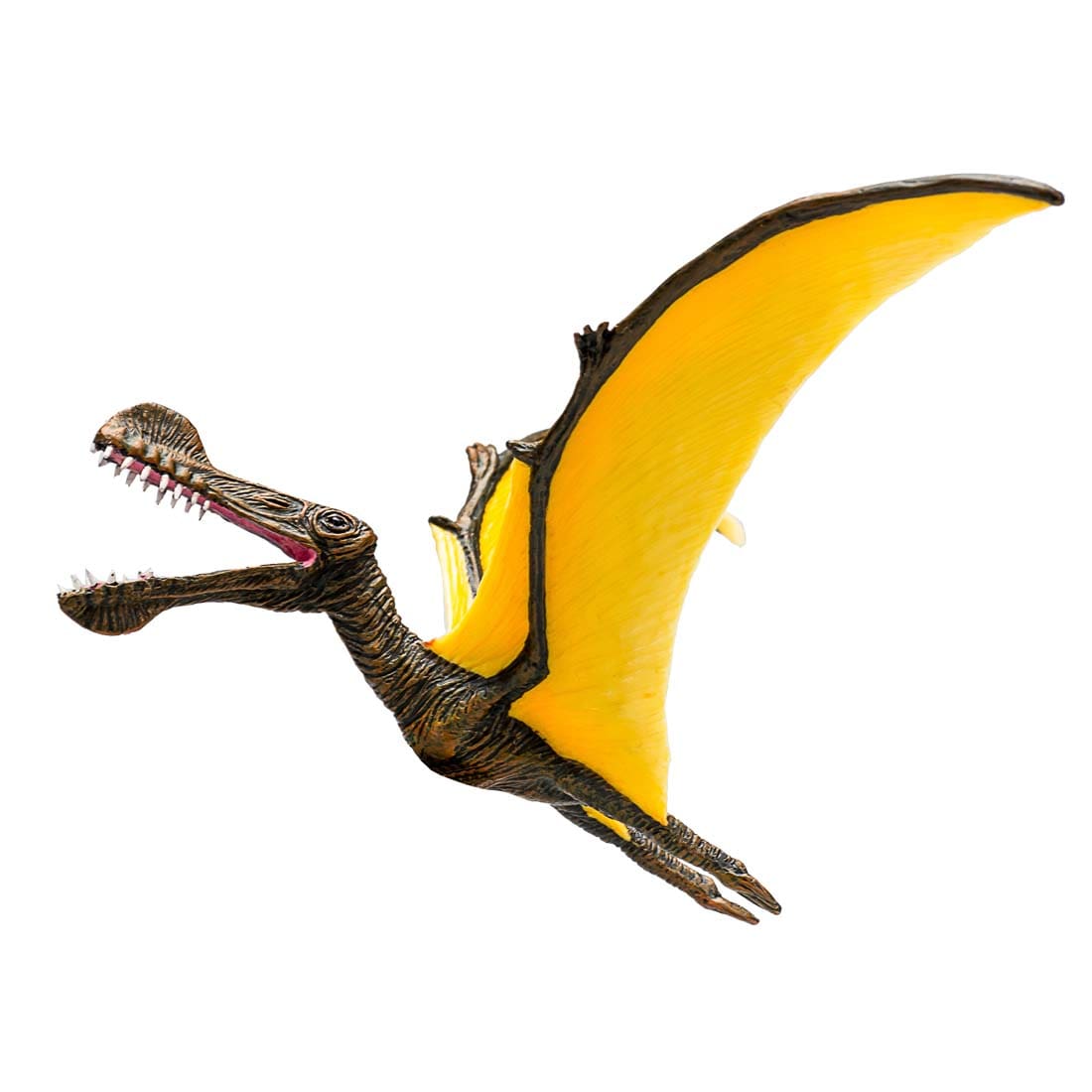 fimptoys4-23485